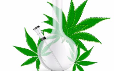 Glass Bongs VS Plastic Bongs: What is the main difference? 5 (1)